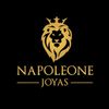 NAPOLEONE USA, LLC Logotype