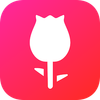 The Rose League Logotipo