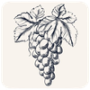 Aramaicos Wine Shop Logó