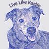 Live Like Karlie Λογότυπο