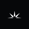 windroseshop.com Logotipo