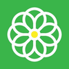 dekogreen Logotype