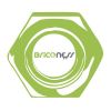 Briconess.com Logotipo