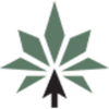 MedCanOneStop Logotype