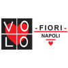 Volofiori Logotipo