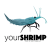 shrimps_nlanger Logotype