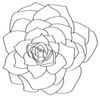 JaneMaples Logotyp