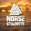 Norse Strength Logotype