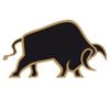 Raging Bull Logotyp