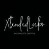 Xtended Locks Logó