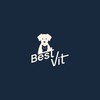 BestVit Logotype