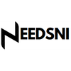 SP NEEDSNI Logotype