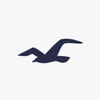 Hollister Logotype