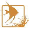 BIOTOPE AQUARIUM Project Logotyp
