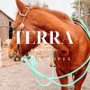 Terra Equine Logotype