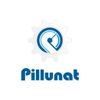Pillunat Logotype