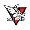 Surge to New Levels Logotyp