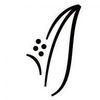 Yuyo Brujo Limited Logotype
