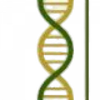 AgroSynapsis Logó