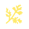 Health Cravings Logotyp