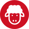 Woolpowerstore.com Logotype