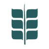 Measures Farms Ltd 