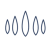 Qualident Logotipo