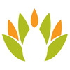 nidraforsleep.com Logotyp