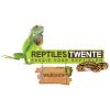 Reptiles Twente Logotype