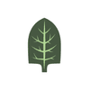 Michael Ruggiero Landscaping Logotipo