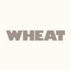 Wheat | Gentofte Logo