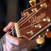 Steve Fleming Music &amp; Sound Logotyyppi
