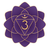 Pineal Crescent Logotype