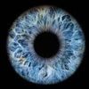 Quantum Awakened Mind Logó