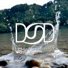 Donau Stein Design Logotyp