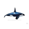 Whales et al. ART Logotype