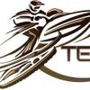 Team Adventure Madesimo Logotyp