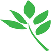 The Olive Street Agency Logotype