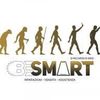 Be Smart SHOP Logotyp