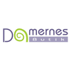 Damernes Butik Logo