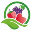 fruithandel temmerman Logotype