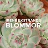 Irene Ekstrands Blommor Logotyp