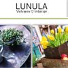 Lunula Velvære AS Logotyp
