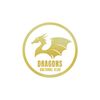 DRAGONSC Logotype