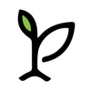 NKO Logo
