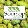 SOURSOP UK Logotype