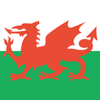 Wales Football Clothing Logotyp