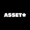 Asset Logotype