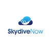 Skydive Now Logotype