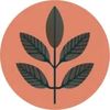 PLANTIQUE Logotyp